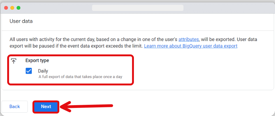Export type in user data section