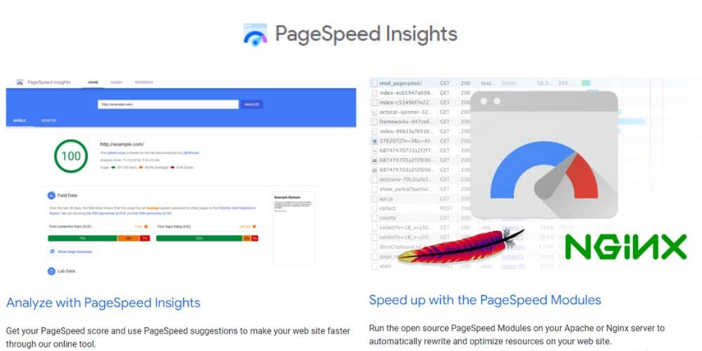 features of pagespeed insights