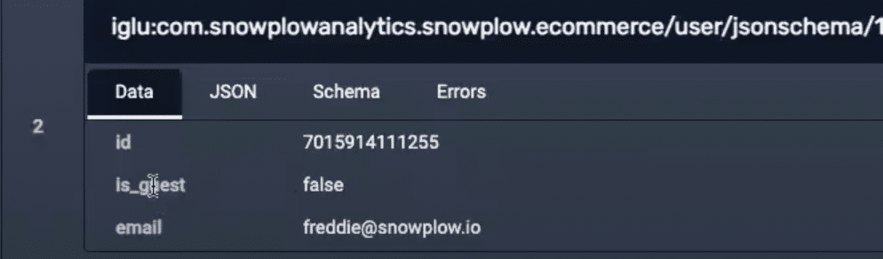 data on entity in snowplow